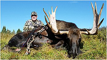 TANNER'S BULL