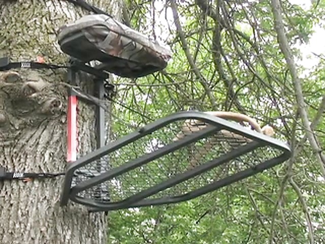 The Best Tree Stand Tactics