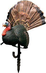 Placing Turkey Decoys for the Perfect Hunt