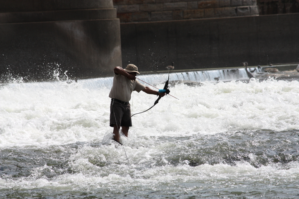 Bowfishing: How to Get Started with the Sport