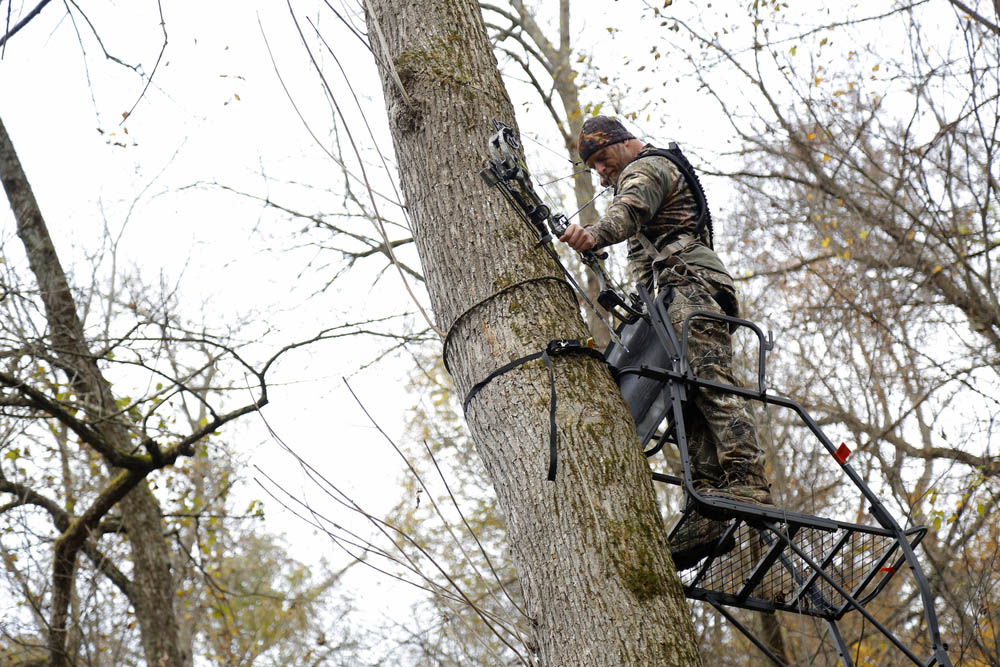 Tree Stands