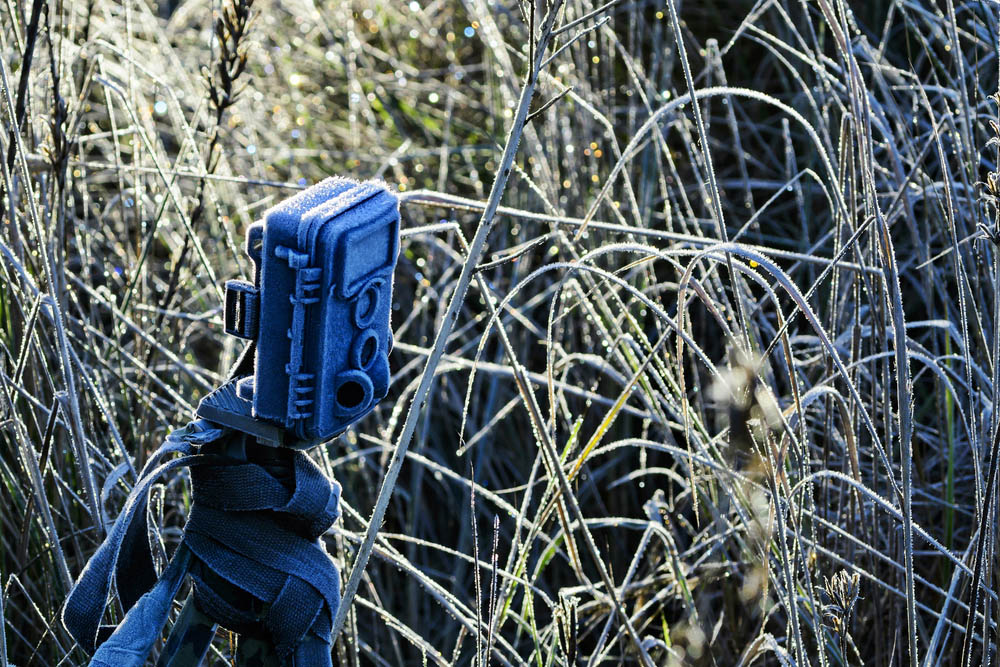8 Perfect Locations To Place Your Trail Camera During The Rut