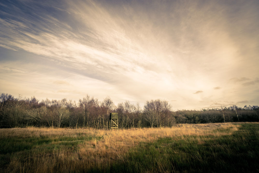 Beginner’s Guide For Finding Public Hunting Land