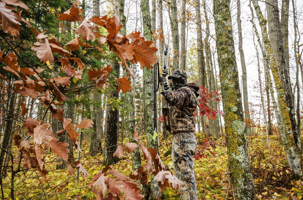 Bows and Big Game: Are You Using the Right Gear?