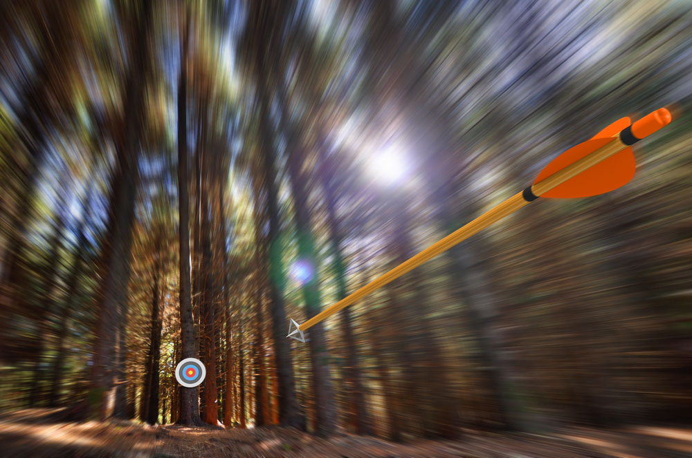 How You Can Improve Your Bowhunting Skills with 3D Archery