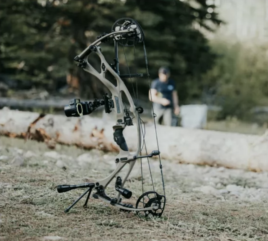 Hoyt